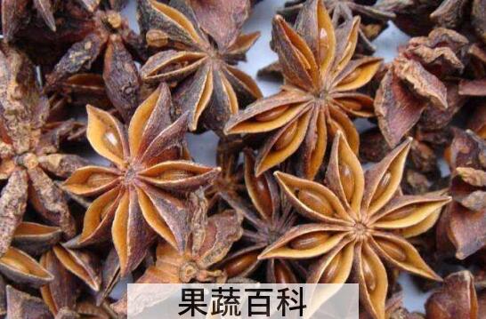 八角的功效与作用及药用价值