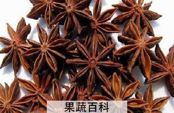 八角的功效与作用及药用价值