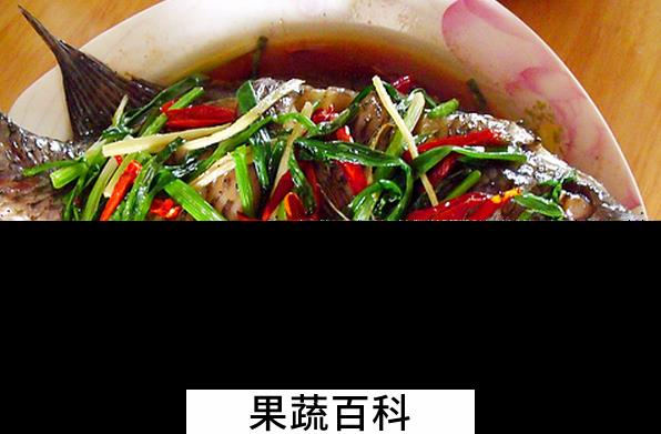 果蔬百科罗非鱼的功效与作用