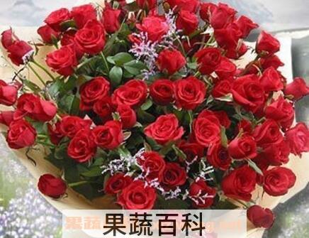 乌丹玫瑰花与普通玫瑰的区别