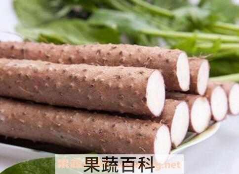 胃不好吃什么养胃 适合胃不好的人吃的食物