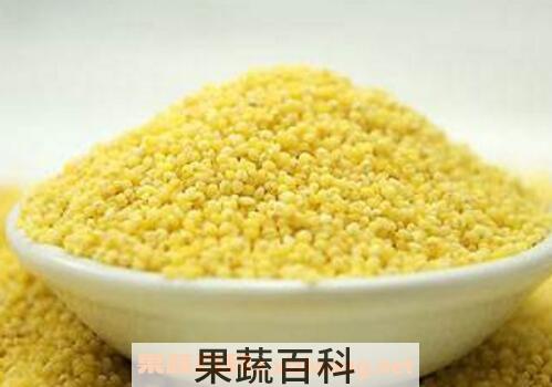 胃不好吃什么养胃 适合胃不好的人吃的食物