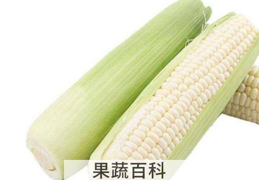 白糯玉米的功效与作用