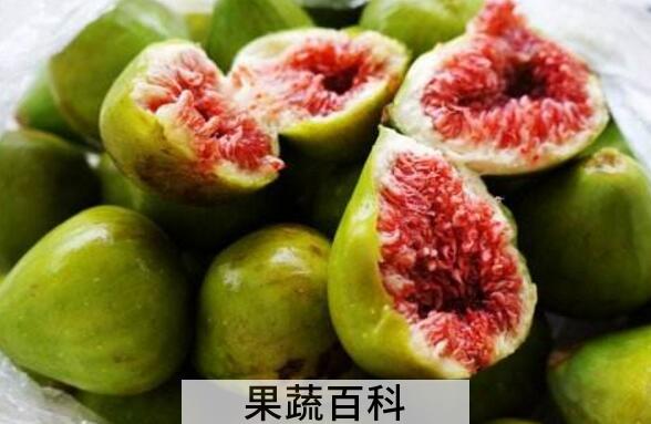 无花果皮的功效与作用