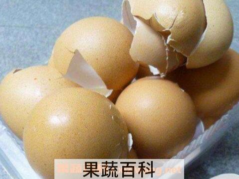 鸡蛋壳有什么用处 鸡蛋壳的用途介绍