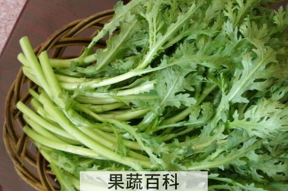 大茼蒿的功效与作用