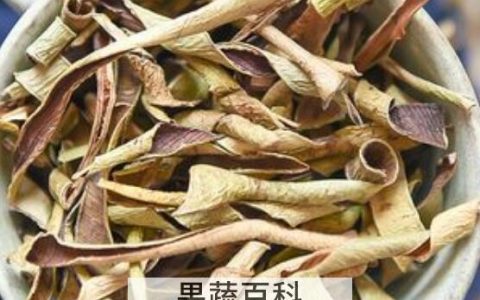 干芦荟茶的功效与作用 喝干芦荟茶的好处有哪些