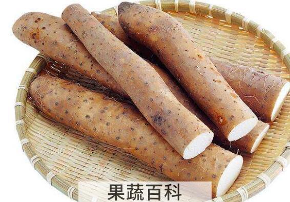 温山药的功效与作用
