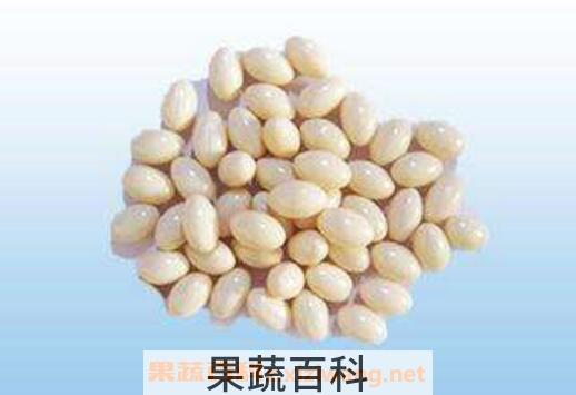 胶原蛋白功效与作用