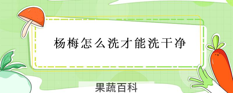 杨梅怎么洗才能洗干净