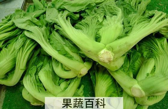 大芥菜的功效与作用