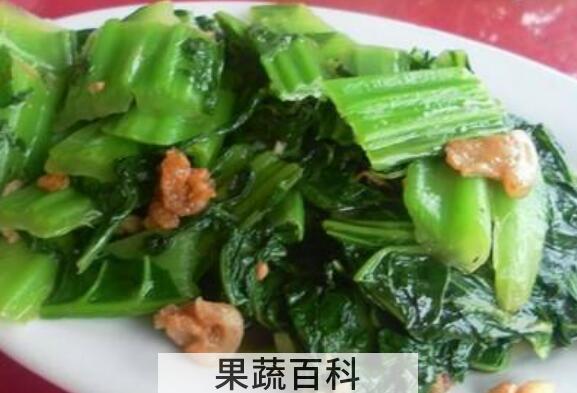 大芥菜的功效与作用