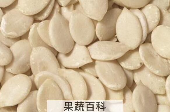 西瓜子仁的功效与作用 西瓜子仁的副作用