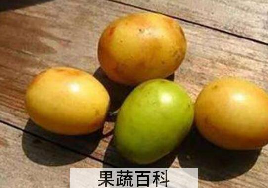 五眼果的功效与作用及禁忌