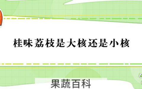 桂味荔枝是大核还是小核