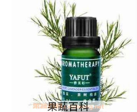 百里香精油的禁忌 百里香精油的功效与作用