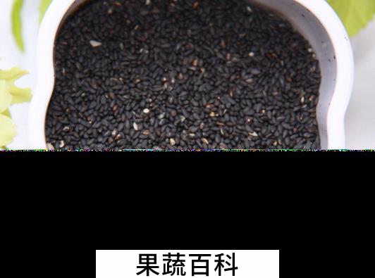 果蔬百科黑小米的营养价值与功效