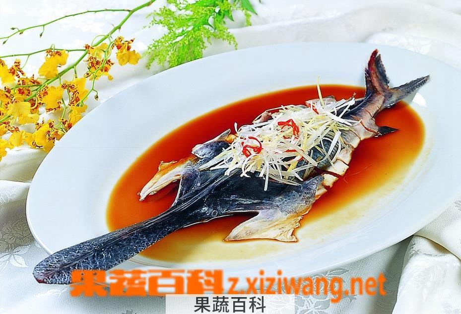 果蔬百科鸭嘴鱼做法大全 鸭嘴鱼的做法