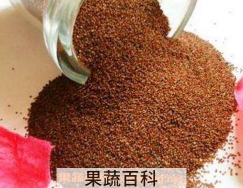 做海藻面膜的功效与作用