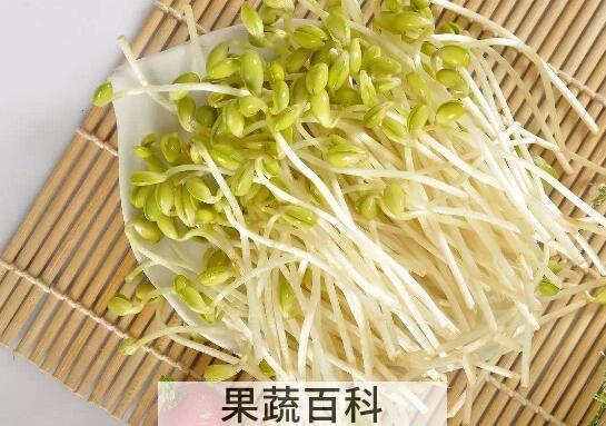 吃绿豆芽的功效与作用 常吃绿豆芽有什么好处