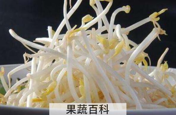 吃绿豆芽的功效与作用 常吃绿豆芽有什么好处