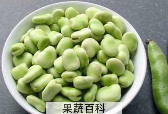 蚕豆的功效与作用及禁忌