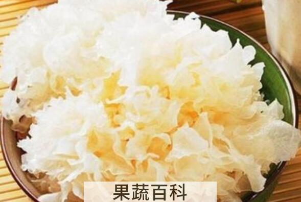 白木耳的功效与作用 吃白木耳的好处有哪些