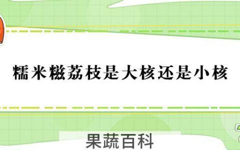 糯米糍荔枝是大核还是小核