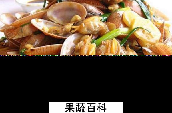 果蔬百科海瓜子的功效与作用