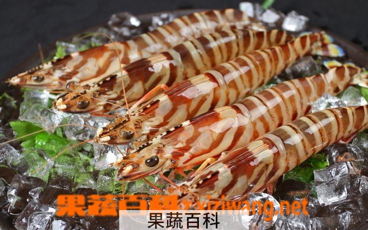 果蔬百科九节虾怎么做好吃 九节虾的做法