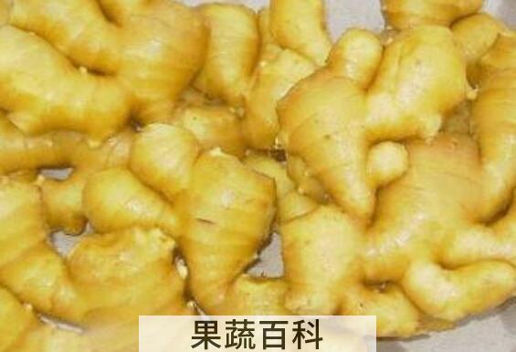 生姜对脱发的功效 生姜怎么治脱发