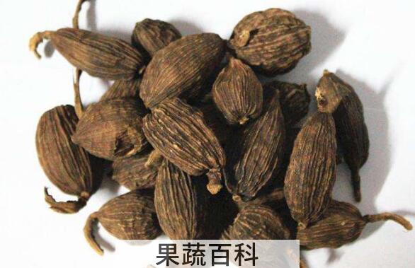 草果的功效与作用及禁忌