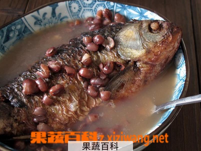 果蔬百科鲫鱼红豆汤的功效与作用