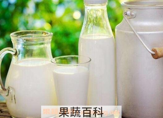 空腹喝牛奶好吗 空腹喝牛奶会怎么样