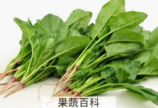 菠菜怎么做好吃又营养