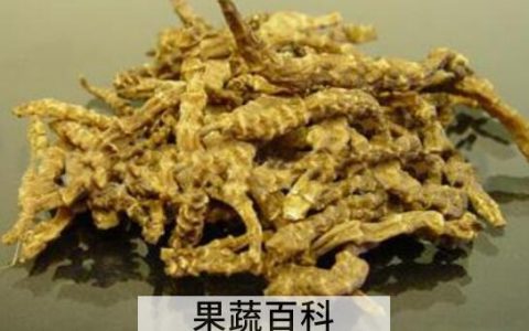 宝塔菜与地参的区别 吃宝塔菜的好处