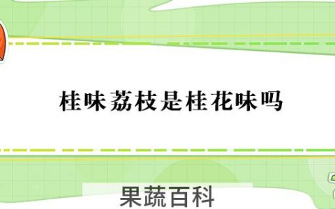 桂味荔枝是桂花味吗