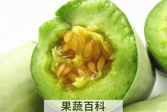 青酥瓜的功效与作用及食用方法