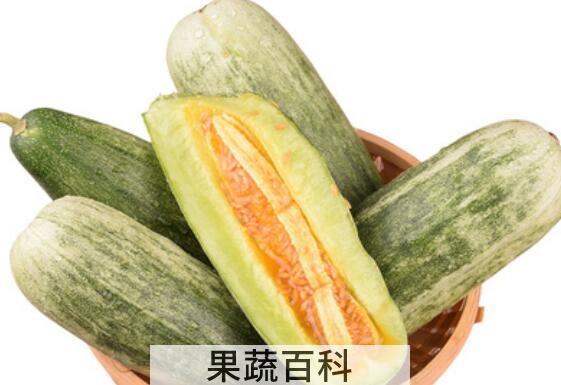 羊角脆的功效与作用
