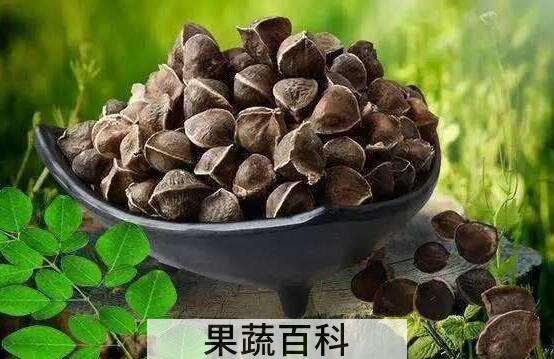 辣木籽怎么吃 辣木籽的食用方法