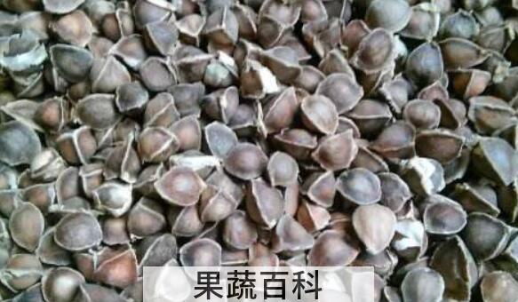 辣木籽怎么吃 辣木籽的食用方法