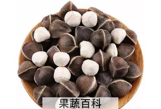 辣木籽的功效与作用 吃辣木籽的好处