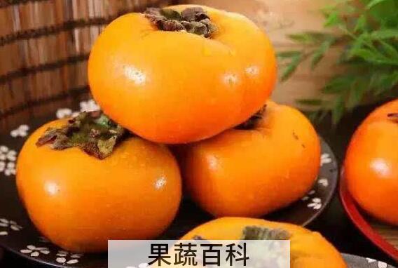 甜柿的功效和作用