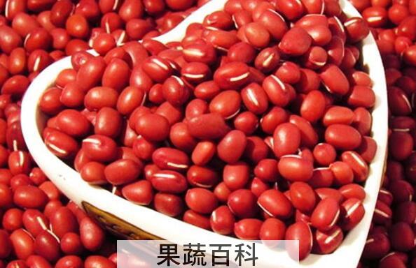 红小豆怎么煮烂得快 红小豆的正确煮法教程