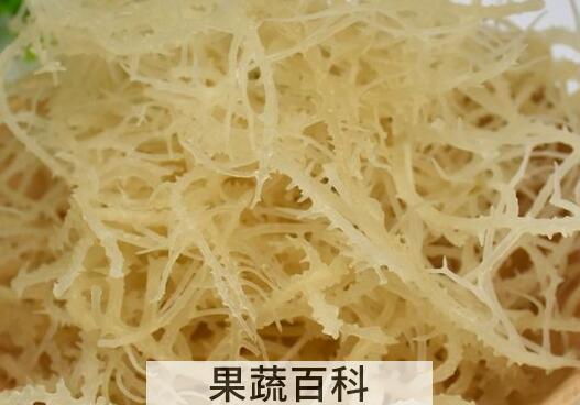 海龙须菜的功效与作用