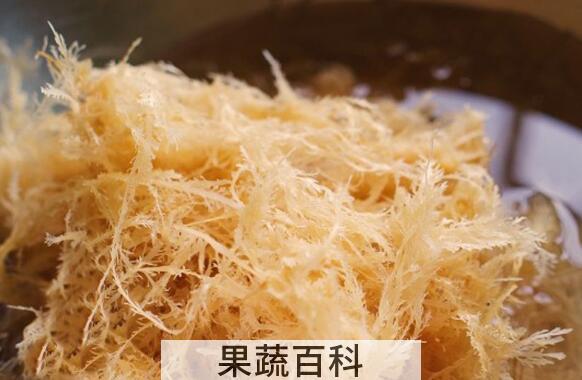 海龙须菜的功效与作用
