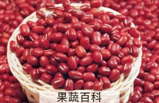 红小豆的副作用和禁忌 长期吃红豆的害处
