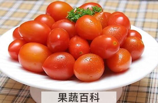 小柿子的功效与作用