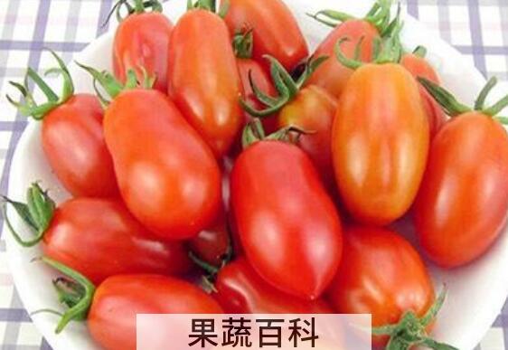 小柿子的功效与作用