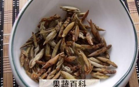 老鹰茶的副作用与禁忌 老鹰茶哪些人不能喝